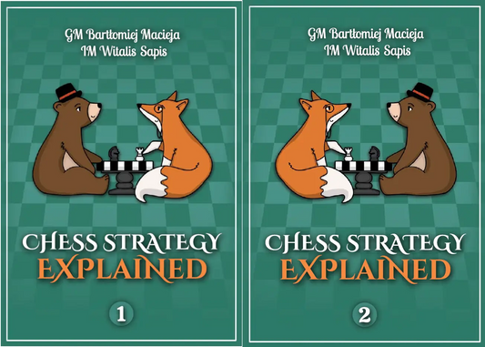 Schachstrategie erklärt – Komplettes 2‑Buch-Set von Sapis & Macieja