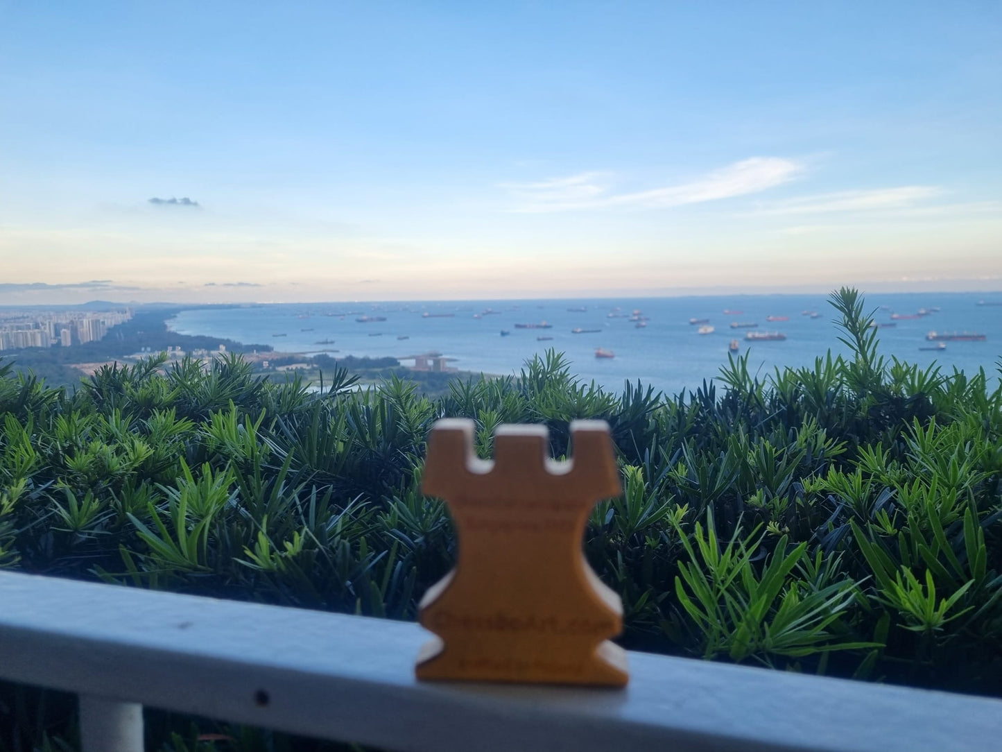 Chess magnets & hanging Rook on the Singapore Trip