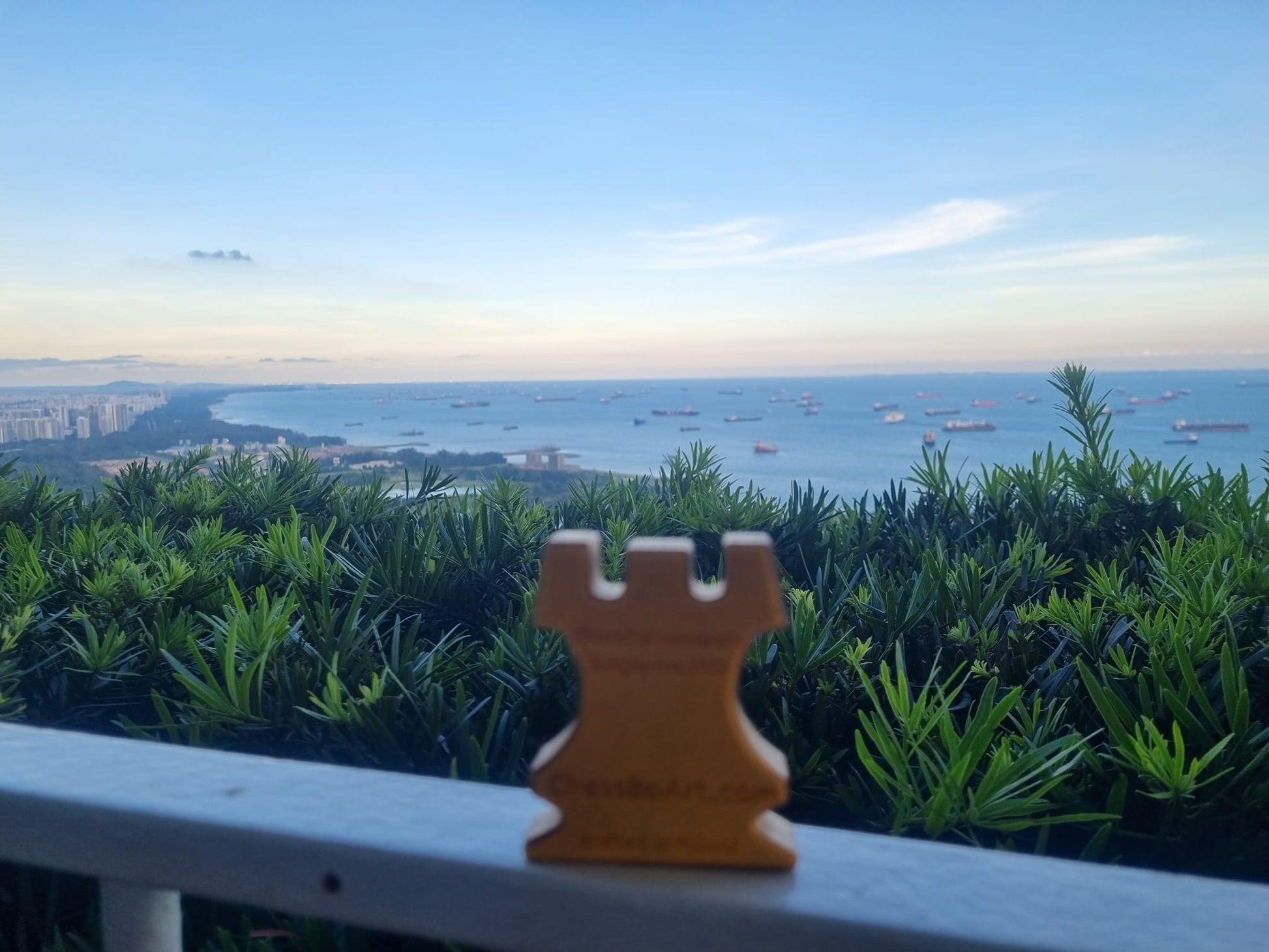 Chess magnets & hanging Rook on the Singapore Trip