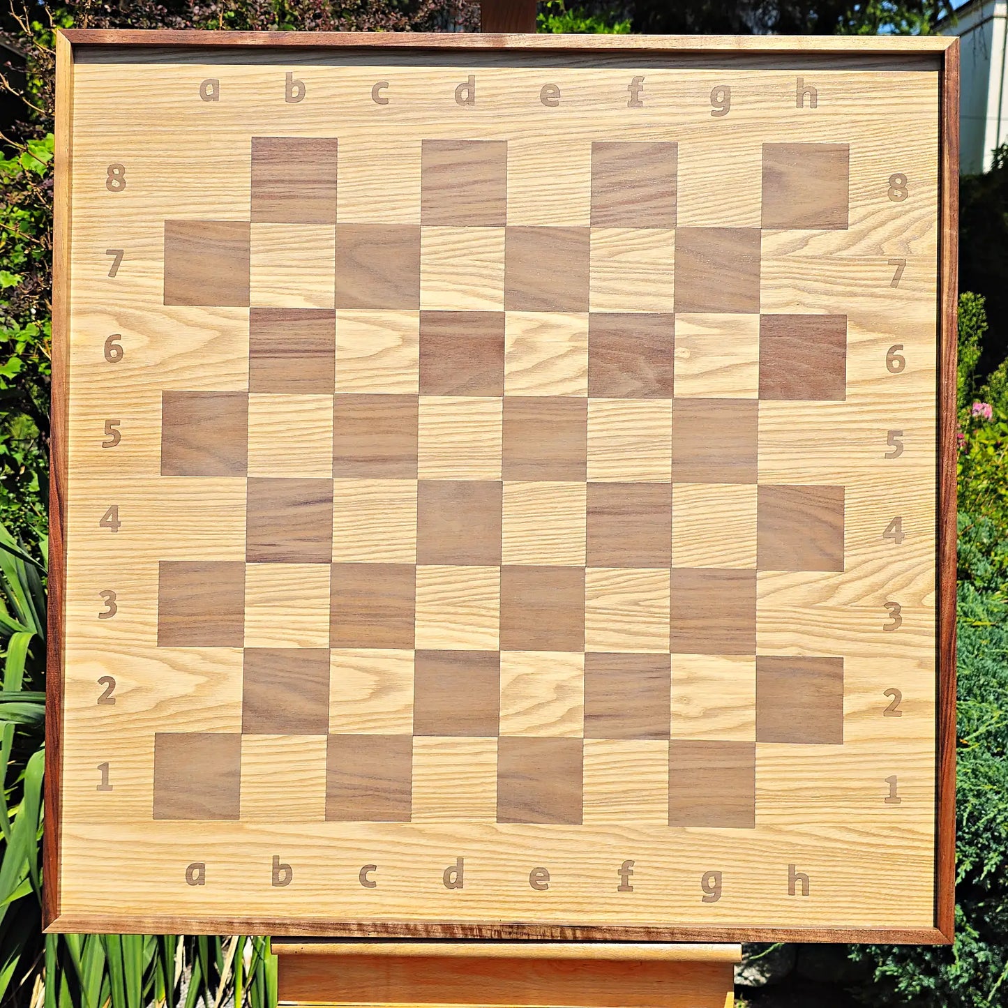 Front view of the empty ChessboArt 800 wooden chessboard bathed in natural sunlight. The image showcases the striking wood grain of the light heartwood ash and dark American walnut squares, which flow seamlessly into the coordinate margins without any inner separating border.